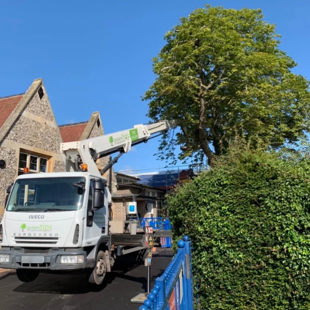 Cherry picker truck parked beside a tree