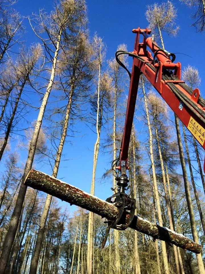 Grapple lifting a log in a woodland