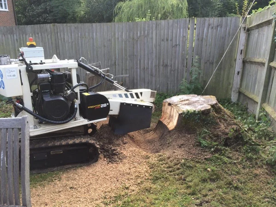 Stump grinder working beside a fence