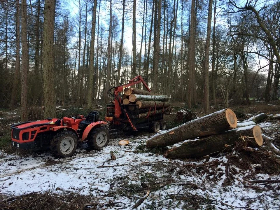Woodland management in Newbury